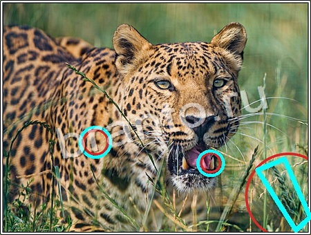 Что изменилось игра ответы в одноклассниках Уровень 87