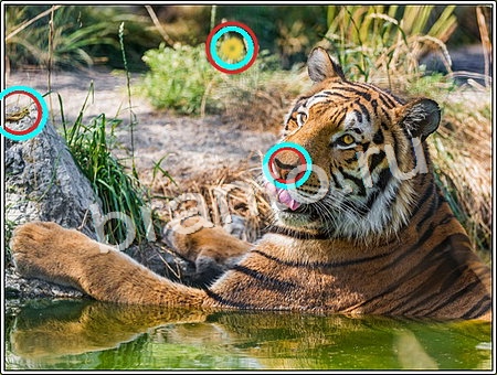 Что изменилось? ответы Уровень 88