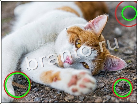 Что изменилось? подсказки Уровень 89