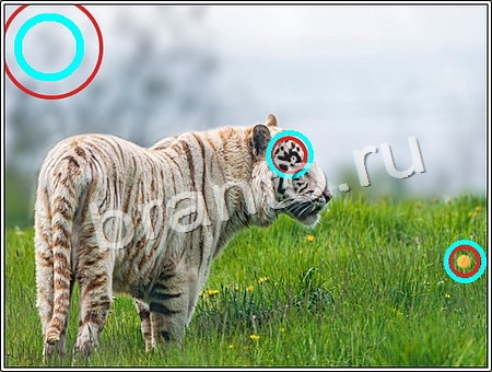 Что изменилось? помощь Уровень 90