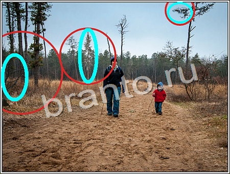 игра Что изменилось помощь Уровень 99