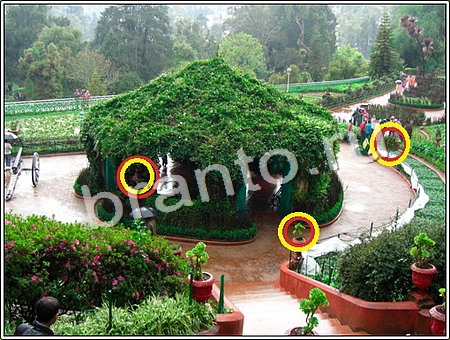 ответы Что изменилось? в одноклассниках Уровень 106