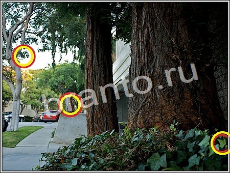 ответы на игру Что изменилось Уровень 118