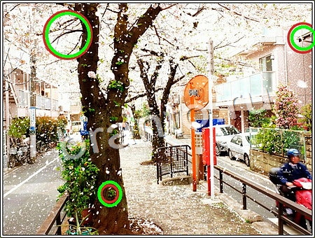 Что изменилось прохождение игры Уровень 142