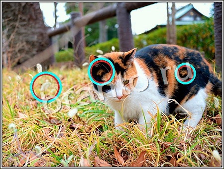 ответы Что изменилось Уровень 145