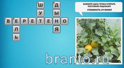 Фото-кроссвороды микс