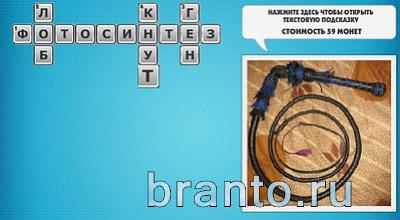 Фото-кроссвороды микс ответы