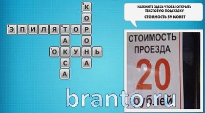 Фото-кроссвороды микс подсказки 104 уровень