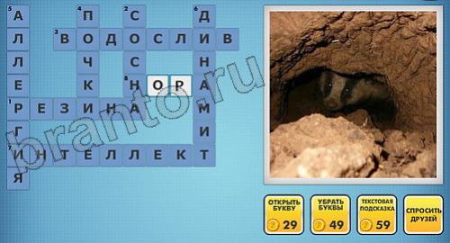 ответы на новые фотокроссворды уровень 60