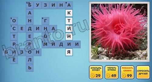 ответы на новые фотокроссворды уровень 200