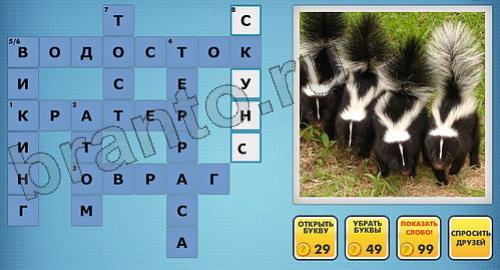 фото-кроссворды в одноклассниках решения уровень 210