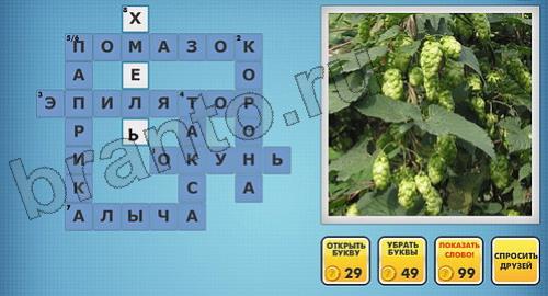 ответы на новые фотокроссворды уровень 220