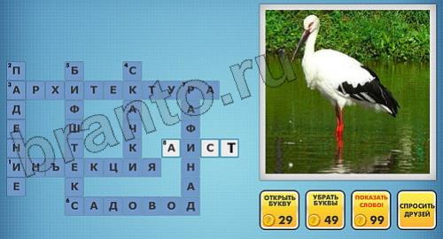 Фотокроссворды микс ответы на уровень 241
