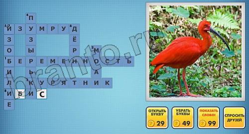 Фотокроссворды микс подсказки сборник 1 уровень 244