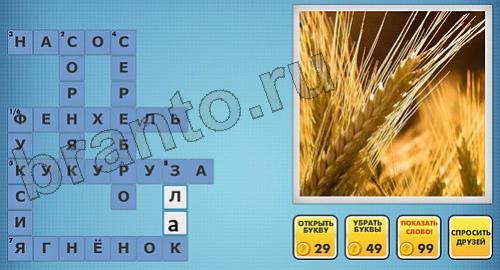 Фото-кроссвороды микс помощь уровень 255