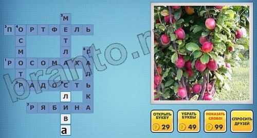 отгадки фото кроссворды одноклассники уровень 276