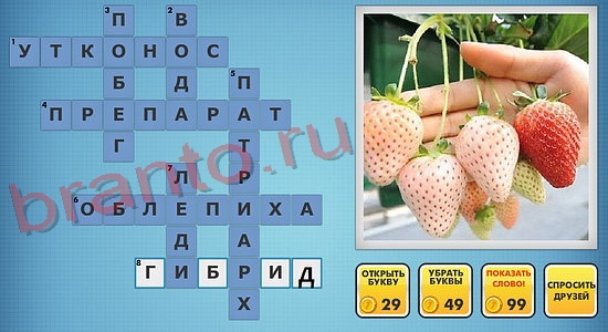 отгадки фото кроссворды одноклассники уровень 316
