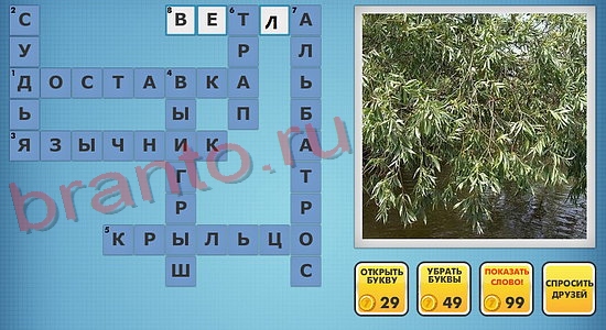 Фотокроссворды микс подсказки сборник 1 уровень 324
