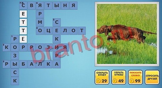 Фото-кроссвороды микс новые уровни ответы одноклассники уровень 371