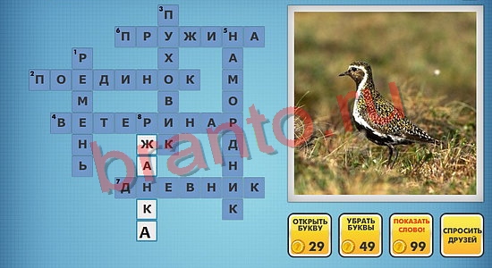 Фото-кроссвороды микс подсказки уровень 374