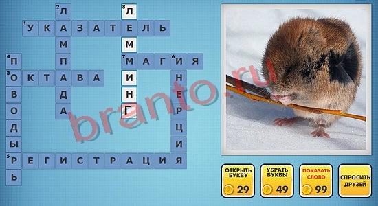 Фото-кроссвороды микс решения уровень 413