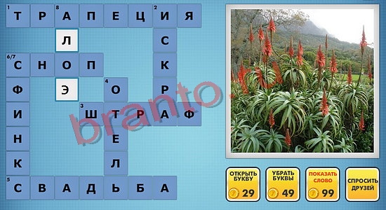 отгадки фото кроссворды одноклассники уровень 416