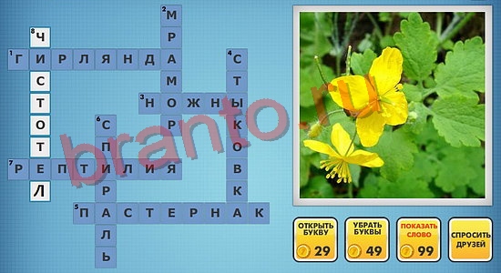 Фото-кроссвороды микс помощь уровень 495