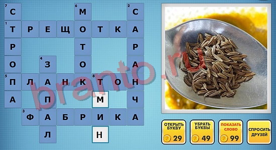 ответы на новые фотокроссворды уровень 520