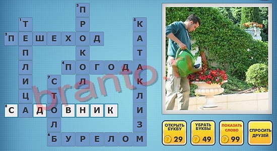 Фото-кроссвороды микс решения уровень 533