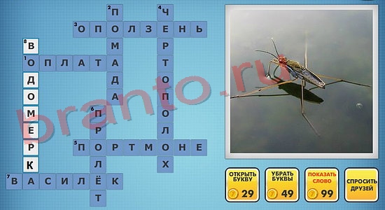 отгадки фото кроссворды одноклассники уровень 596