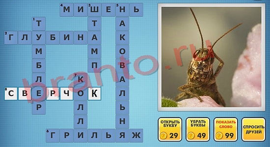 Фото-кроссвороды микс решения уровень 713