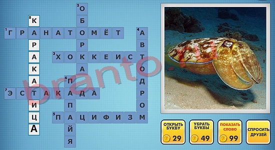 ответы на новые фотокроссворды уровень 720