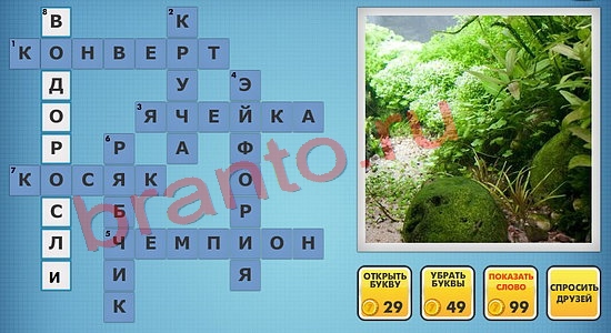 Фотокроссворды микс ответы одноклассники уровень 742