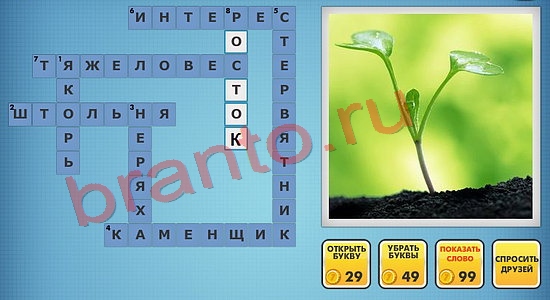 отгадки фото кроссворды одноклассники уровень 756