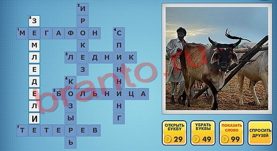 фото-кроссворды ключи на игру в одноклассниках уровень 757