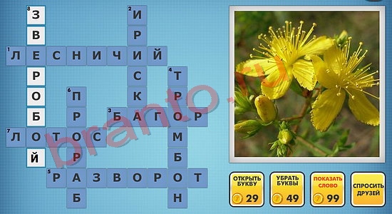 Фото-кроссвороды микс решения уровень 813