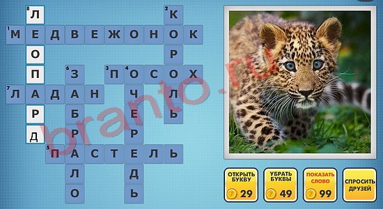 одноклассники фото-кроссворды помощь уровень 839