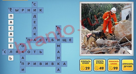 Фотокроссворды микс ответы одноклассники уровень 842