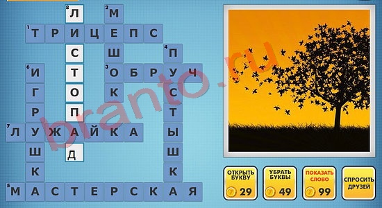 Фотокроссворды микс решения уровень 843