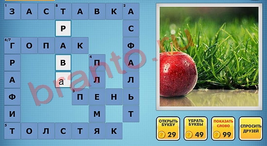 ответы на новые фотокроссворды уровень 860