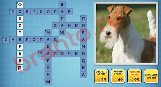 ответы на фото кроссворды в одноклассниках уровень 49