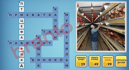 фото-кроссворды в одноклассниках решения уровень 50