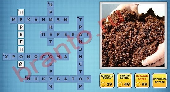 Фотокроссворды микс-2 ответы на уровень 81