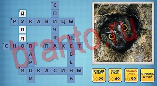 отгадки фото кроссворды одноклассники уровень 196