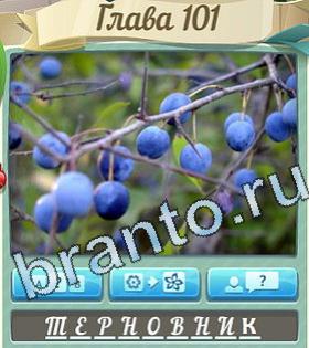 ответы на игру Цветик-семицветик уровень 101