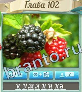 подсказки на игру Цветик-семицветик уровень 102