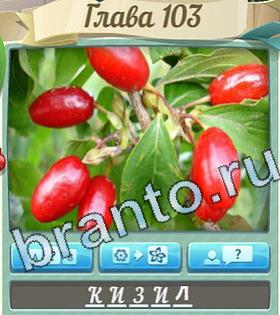 помощь на игру Цветик-семицветик одноклассники уровень 103