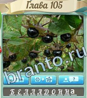 ответы на игру Цветик-семицветик уровень 105