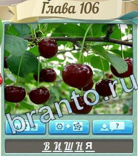 игра Цветик-семицветик ответы в контакте уровень 106