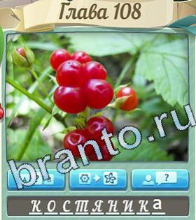 игра Цветик-семицветик помощь ВК уровень 108